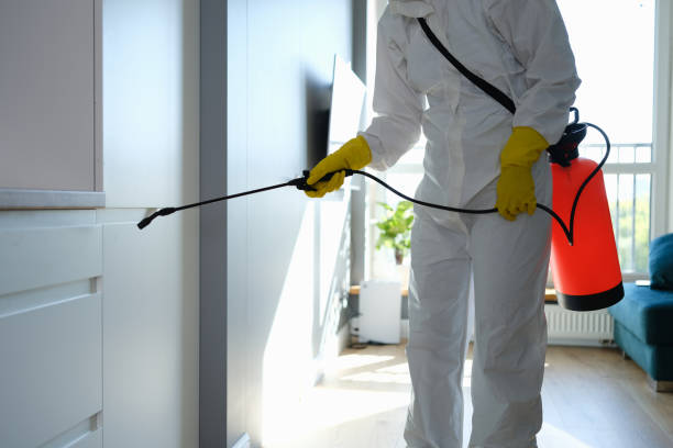 Pest Control for Hotels in Home Garden, CA